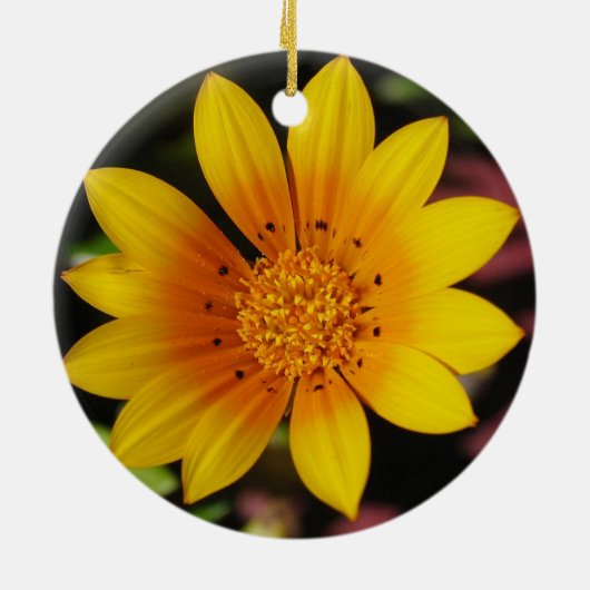 Yellow Daisy Ornament (Hinten)