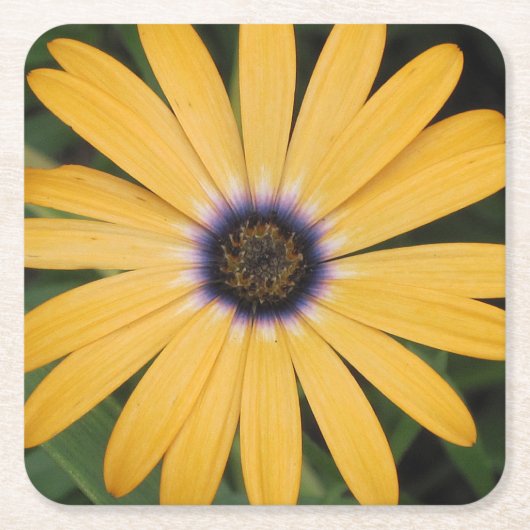 Yellow Daisy Party Untersetzer (Vorderseite)