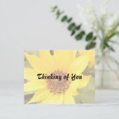 Yellow Daisy Postcard Postkarte (Stehend Vorderseite)