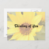 Yellow Daisy Postcard Postkarte (Vorne/Hinten)