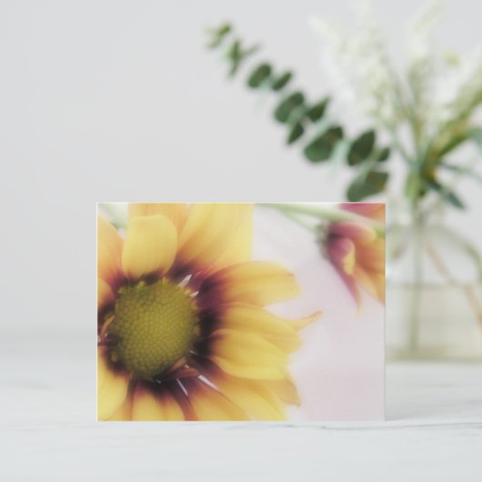 Yellow Daisy Postcard Postkarte (Stehend Vorderseite)