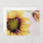 Yellow Daisy Postcard Postkarte (Vorne/Hinten)