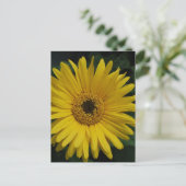 Yellow Daisy Postcard Postkarte (Stehend Vorderseite)