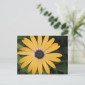 Yellow Daisy Postcard Postkarte (Stehend Vorderseite)