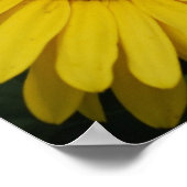 Yellow Daisy Poster (Ecke)