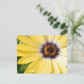 Yellow Daisy Postkarte (Stehend Vorderseite)