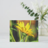 Yellow Daisy Postkarte (Stehend Vorderseite)