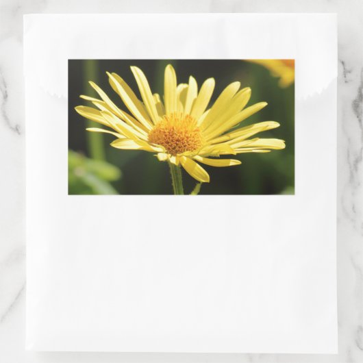 Yellow Daisy Rechteckiger Aufkleber (Tasche)