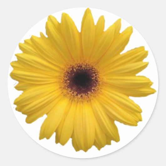 Yellow Daisy Round Stickers (Vorderseite)