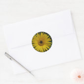 Yellow Daisy Stickers (Umschlag)