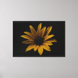 Yellow Daisy Stretched Canvas Print Leinwanddruck