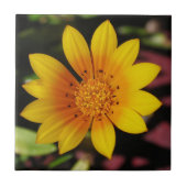 Yellow Daisy Tile Fliese (Vorderseite)