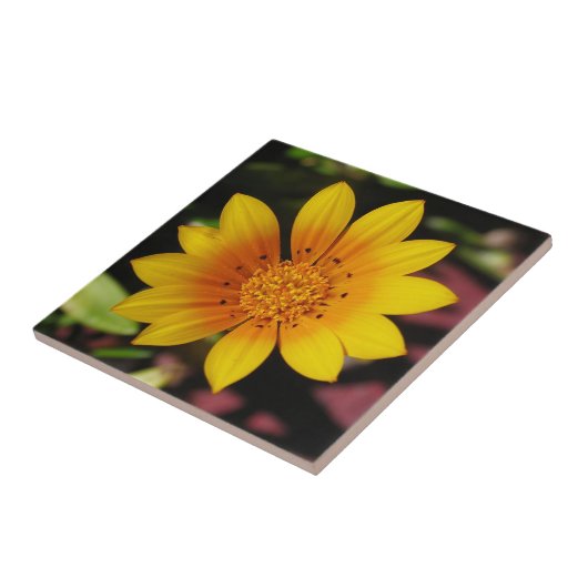Yellow Daisy Tile Fliese (Seite)