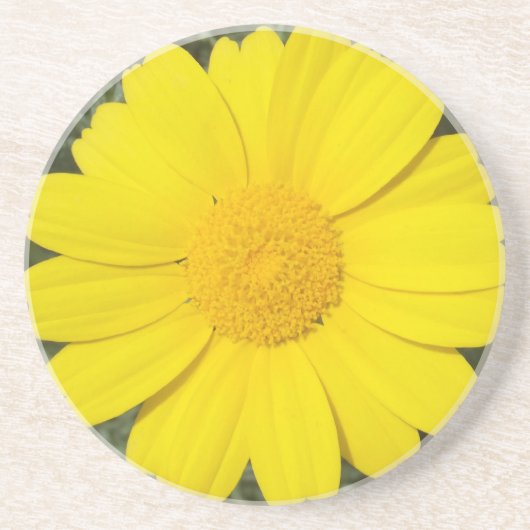 Yellow Daisy Untersetzer (Vorne)