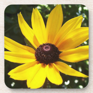 Yellow Daisy Untersetzer