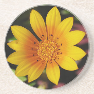 Yellow Daisy Untersetzer