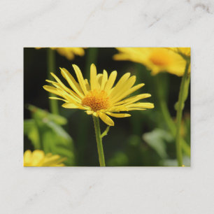 ‎ Yellow Daisy Visitenkarte