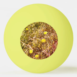 Yellow Dandela Dart Board Tischtennisball