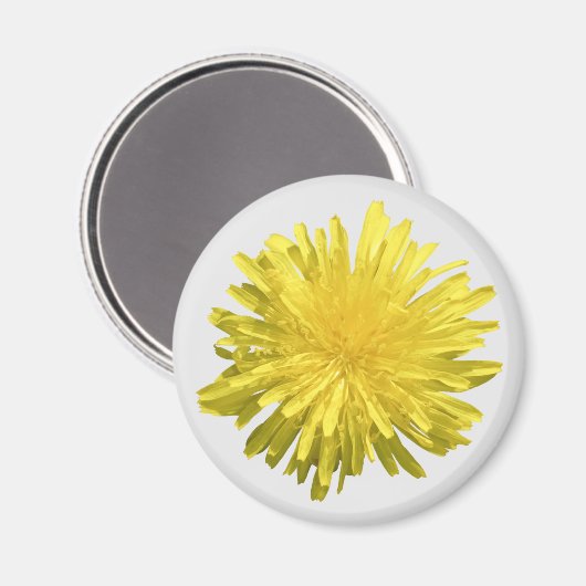 Yellow Dandelion Magnet (Vorderseite/Rückseite)