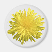 Yellow Dandelion Magnet (Vorne)