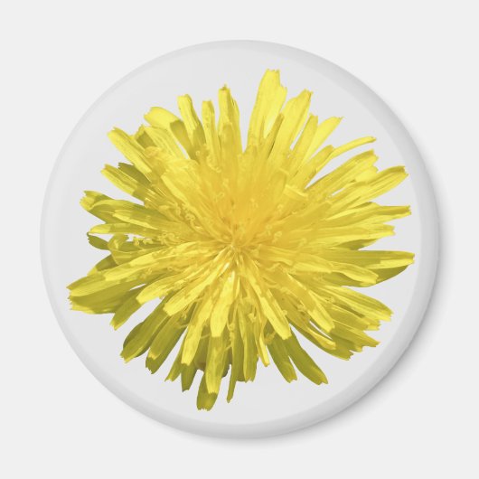 Yellow Dandelion Magnet (Vorne)