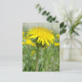 Yellow Dandelion Postkarte (Stehend Vorderseite)
