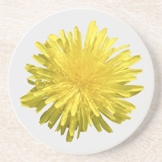 Yellow Dandelion Sandstone Untersetzer (Vorne)