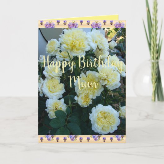 Yellow David Austin Rose Rose Garden Birthday Car Karte (Vorderseite)
