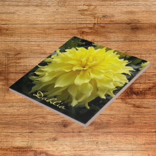 Yellow Dinner Plate Dahlia Fliese