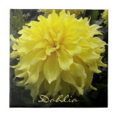 Yellow Dinner Plate Dahlia Fliese (Vorderseite)