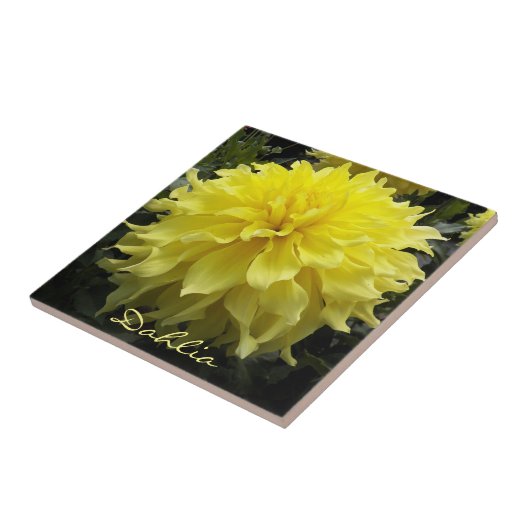 Yellow Dinner Plate Dahlia Fliese (Seite)