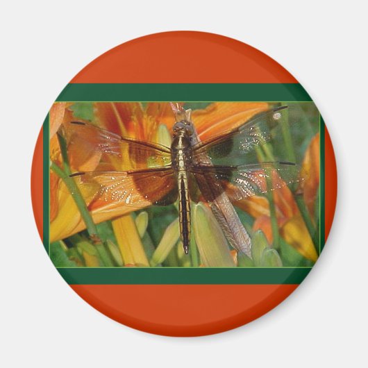 Yellow Dragonfly Magnet (Vorne)