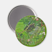 Yellow Dragonfly Magnet (Vorderseite/Rückseite)