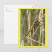 Yellow Dragonfly Nah Up DIY Postkarte (Vorne/Hinten)