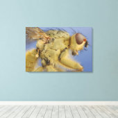 Yellow Dung Fly Leinwanddruck (Insitu (Holzboden))