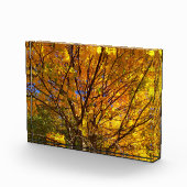 Yellow Fall Foliage Fotoblock (Rechts)