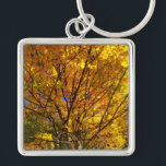 Yellow Fall Foliage Schlüsselanhänger<br><div class="desc">A maple tree blazes a golden yellow in the autumn sun in this pic snapped by Richard H. Fay.</div>