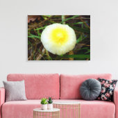 Yellow Field Cap Pilz Canvas Print Leinwanddruck (Insitu (Wohnzimmer))