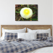Yellow Field Cap Pilz Canvas Print Leinwanddruck (Insitu (Schlafzimmer))