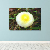 Yellow Field Cap Pilz Canvas Print Leinwanddruck (Insitu (Holzboden))