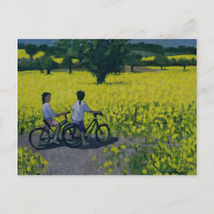 Yellow Field Kedleston Derby Postkarte