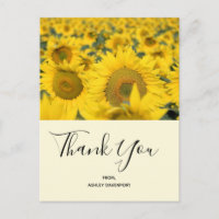Yellow Field of Sunflowers Danke