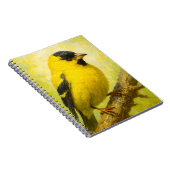 Yellow Finch Notebook | Goldfinch Bird Art Journal Notizblock (Rechte Seite)