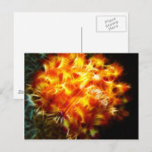 Yellow Fire Urchin Postkarte (Vorne/Hinten)