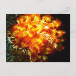 Yellow Fire Urchin Postkarte