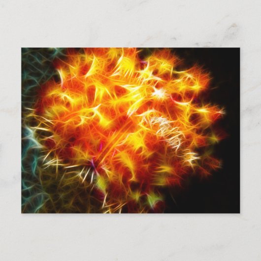 Yellow Fire Urchin Postkarte (Vorderseite)