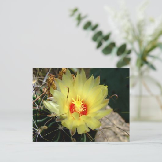 Yellow fishhook cactus flower postkarte (Stehend Vorderseite)
