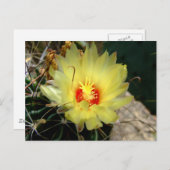 Yellow fishhook cactus flower postkarte (Vorne/Hinten)
