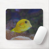 Yellow Fishy Mousepad (Mit Mouse)