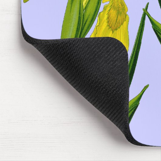 Yellow Flag Iris Twins Mousepad (Ecke)